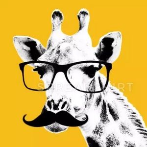 Meet your Posher, Nathan